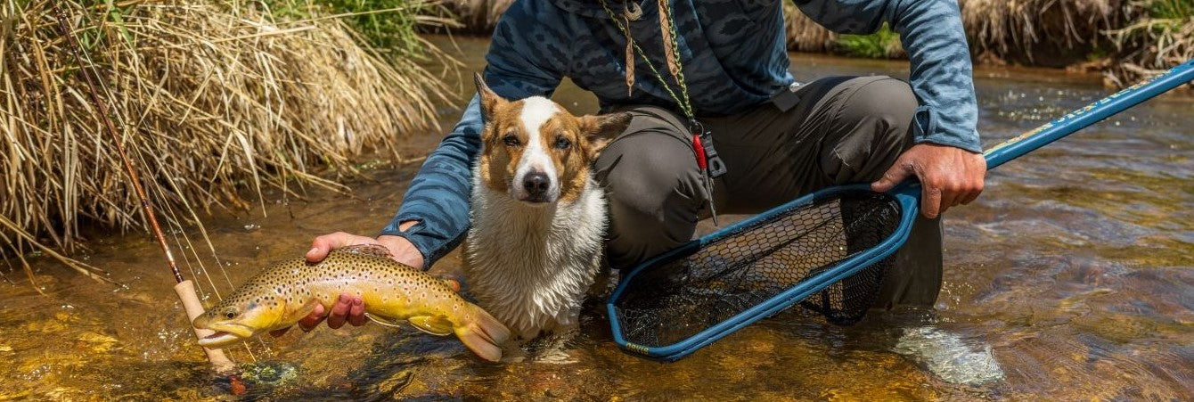 Legend Elite Freshwater Fly Rod, a Corgi and a nice Brown Trout