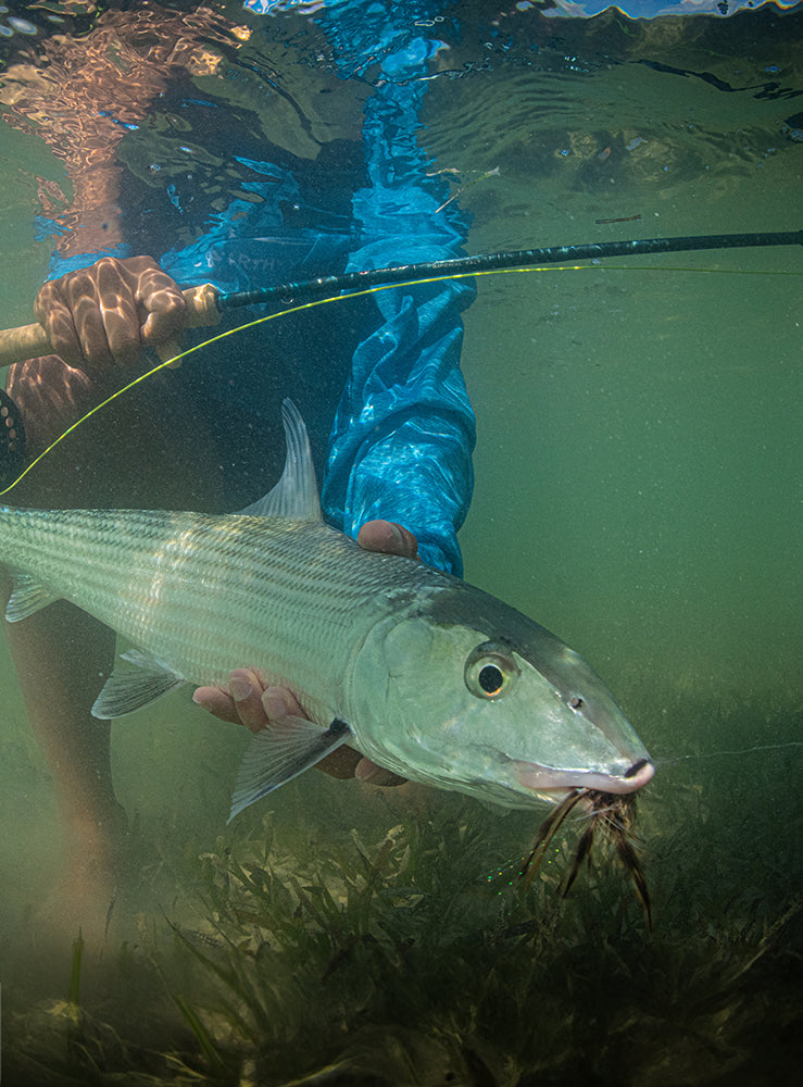 Fly Rods St. Croix Fly Fly Rods St. Croix Fly